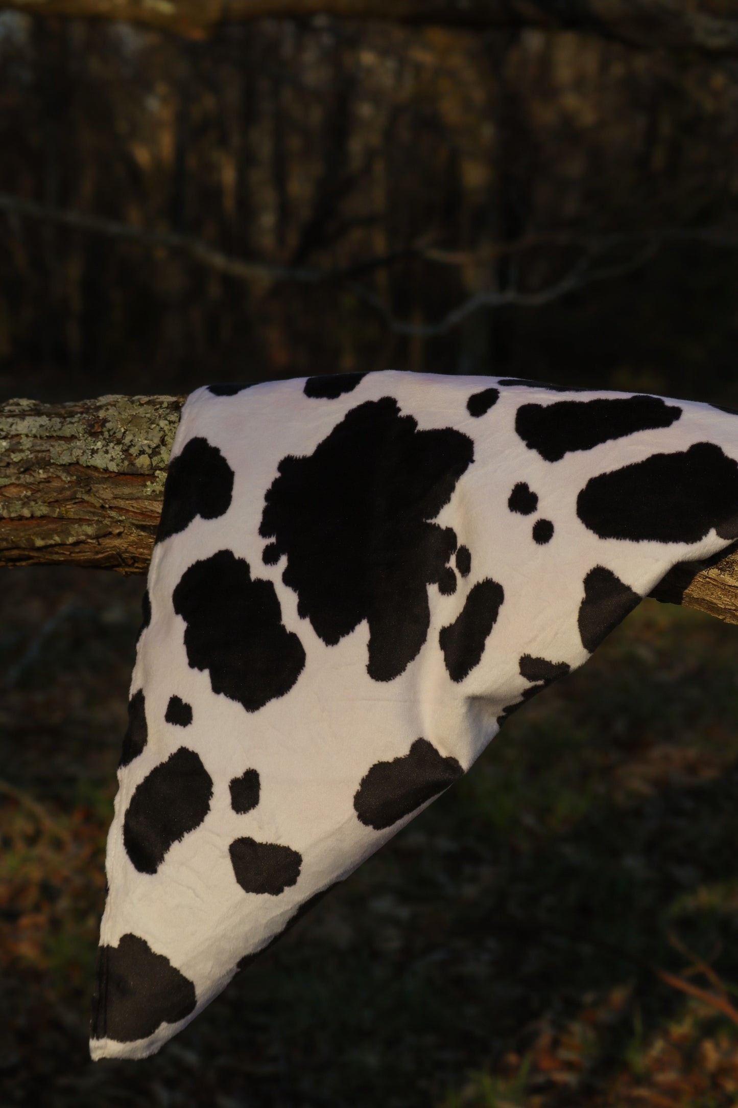 Steer Fleece Bandana
